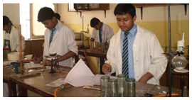 Our Labs